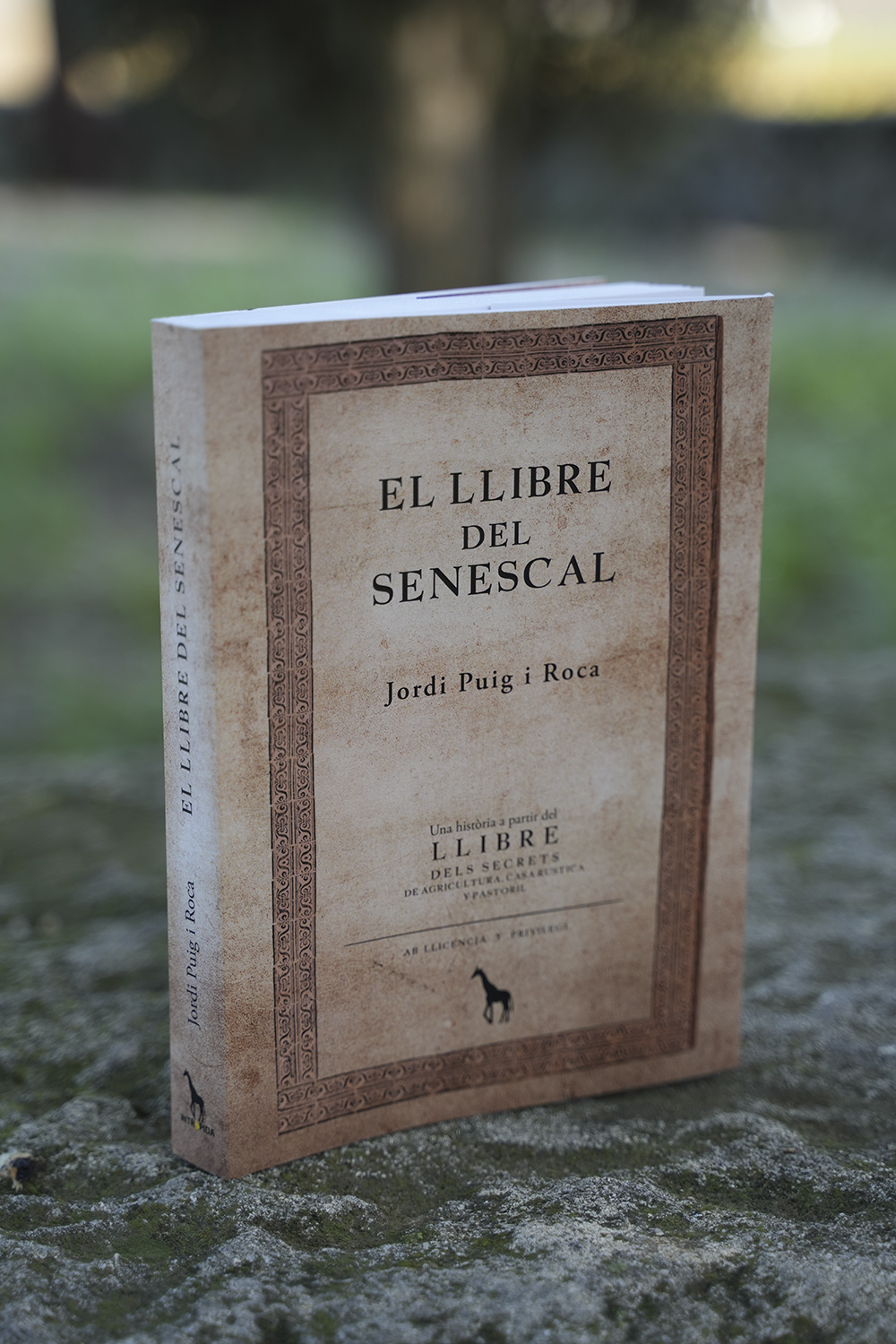 El llibre del senescal, de Jordi Puig i Roca