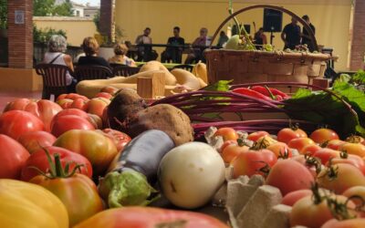 Tasta la llavor, tot un èxit!