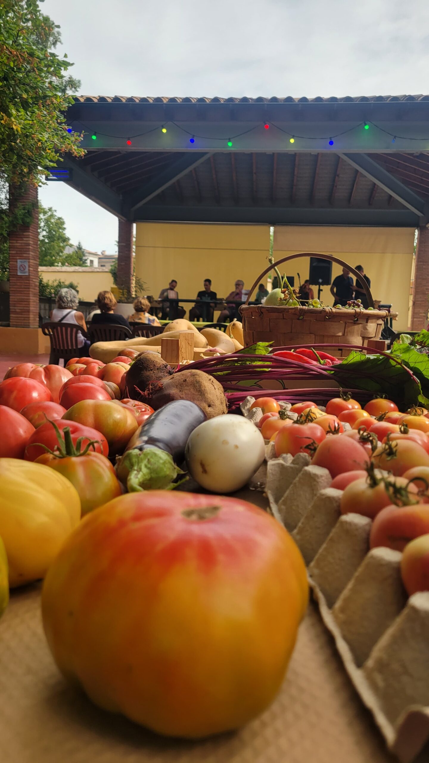 Ambient de Tasta la Llavor de Roda de Ter